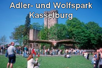 Adler- und Wolfspark Kasselburg