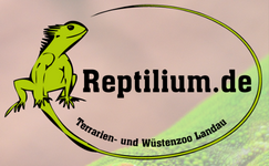 Reptilium Landau
